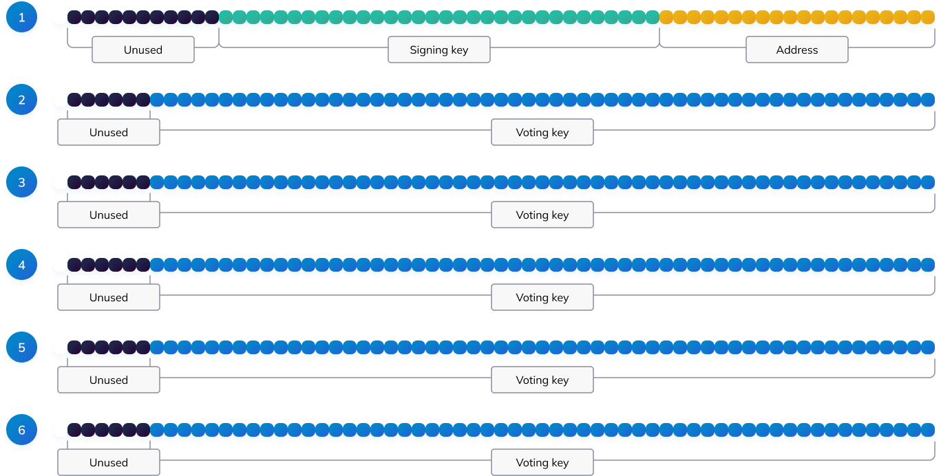 Structure of validator registration transaction data